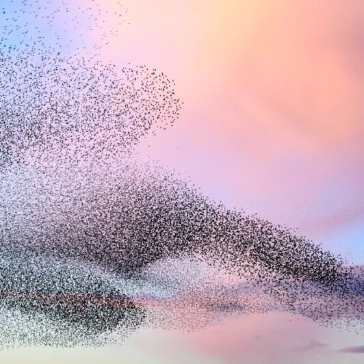 click to read Empowering Scientific Excellence: The Two Sigma PhD Fellowship